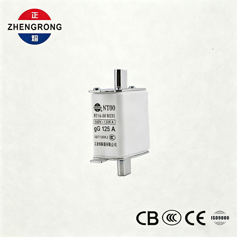 فیوز NT00 125A با ظرفیت شکست بالا - فیوز 500V 120kA سرامیک gG