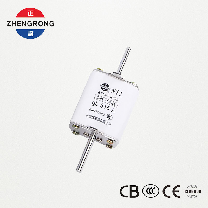 فیوز لینک NT2 315A | فیوز سرامیکی RT16-2 500V gL